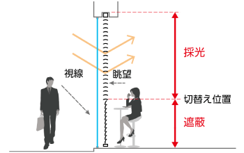 ItBX̑傫ȑE鑋