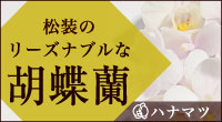 松装の胡蝶蘭「ハナマツ」